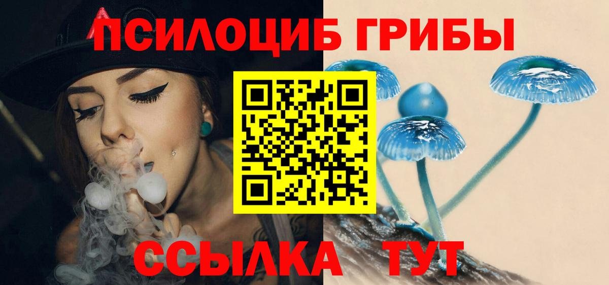 Галлюциногенные грибы Magic Shrooms  Галлюциногенные грибы Psilocybe  Вход с VPN  Холмск 