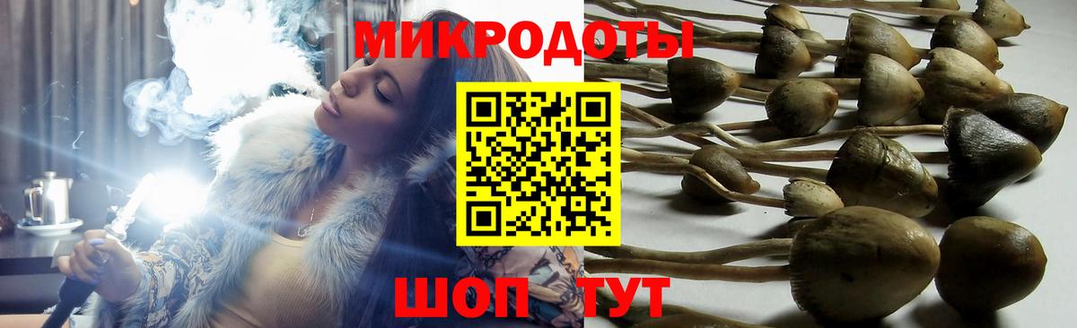 Псилоцибиновые грибы Magic Shrooms Холмск